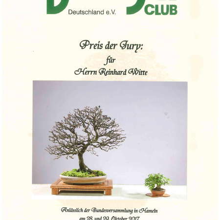 Bild vergrößern: bonsai-urkunde 1