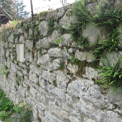 Bild vergrößern: NordwallStadtmauer