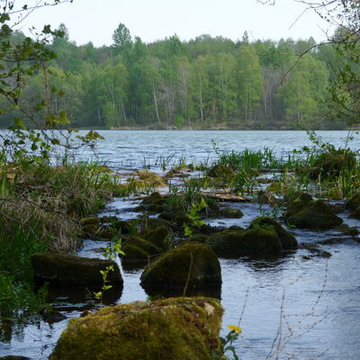 Bild vergr&ouml;&szlig;ern: DuingerSeenplatteWeinberger_SeeFotoSchulz