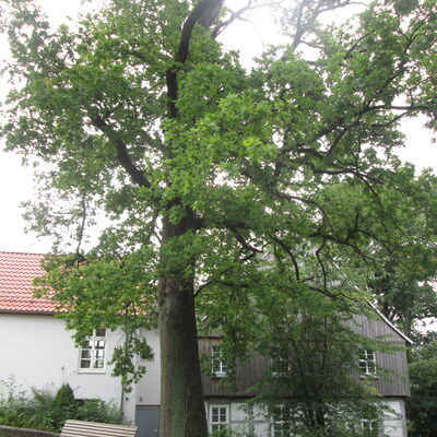 Bild vergr&ouml;&szlig;ern: Pfarrhaus4