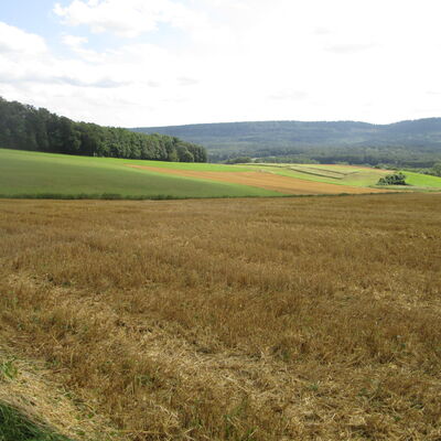 Bild vergr&ouml;&szlig;ern: dasPottland2