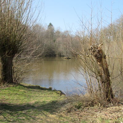 Bild vergr&ouml;&szlig;ern: ehem.Revierf.Papenkamp9