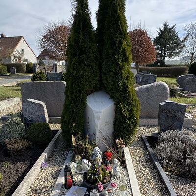 Bild vergr&ouml;&szlig;ern: Friedhof_Grab_Hanne_Haller1