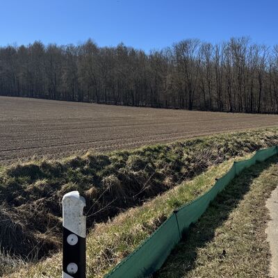 Bild vergr&ouml;&szlig;ern: R&ouml;derhof_Kr&ouml;tenwanderung_Zaun