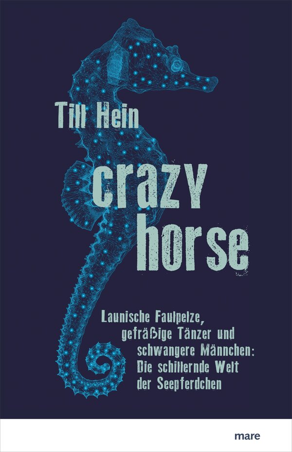 Bild vergr&ouml;&szlig;ern: Vertrterkonf. Hein_Crazy Horse_18.indd