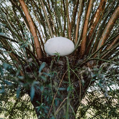 Bild vergr&ouml;&szlig;ern: NILS-UDO Die Weide 1