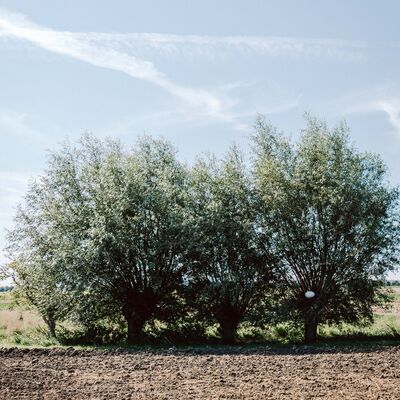 Bild vergr&ouml;&szlig;ern: NILS-UDO Die Weide 3