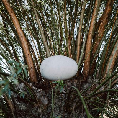 Bild vergr&ouml;&szlig;ern: NILS-UDO Die Weide 5