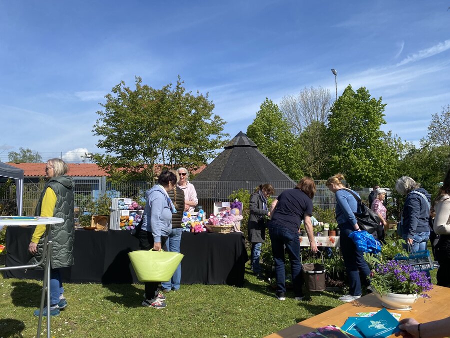 Interner Link: Zur Veranstaltung Pflanzenb&ouml;rse