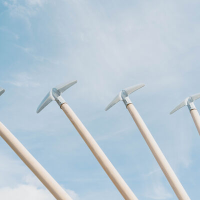 Bild vergr&ouml;&szlig;ern: Der traktorlose Pflug 5