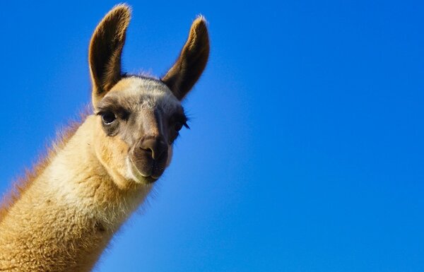 pexels-bryan-smith-480077-11839711