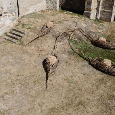 Bild vergr&ouml;&szlig;ern: Erdboten 6