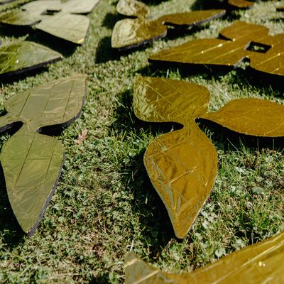 Bild vergr&ouml;&szlig;ern: Hier ist der Boden noch heiliger 4