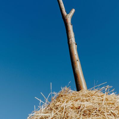 Bild vergr&ouml;&szlig;ern: Fata Morgana 4