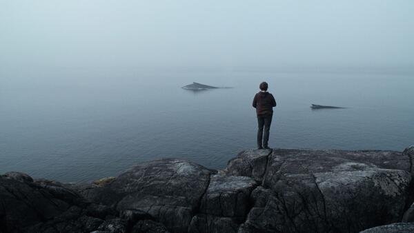 An einem felsigen Ufer steht eine Person die man nur von hinten sieht. Sie schaut auf ein grau-blaues Meer aus dessen stiller Oberfläche sich ein Walrücken erhebt.